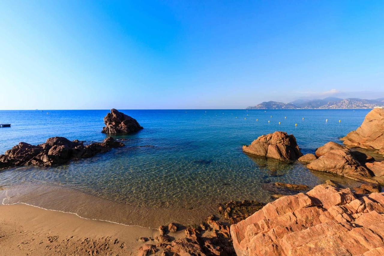 A 10 Min De La Croisette - Pieds Dans La Mer Cannes Esterno foto